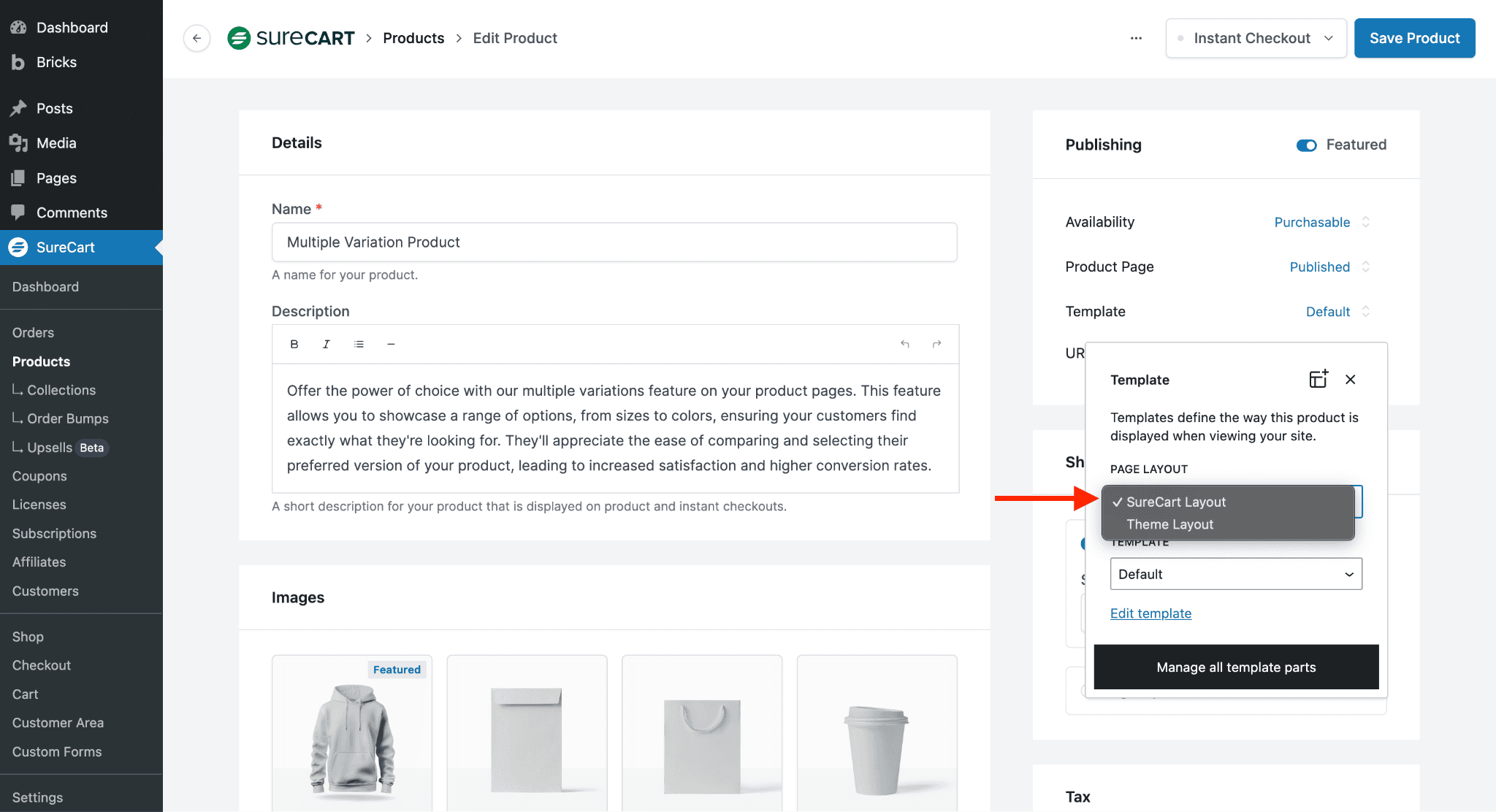 Troubleshooting Bricks Builder Templates Theme Layout
